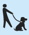 Exclusive Dog Park, Pet Crèche & Salon